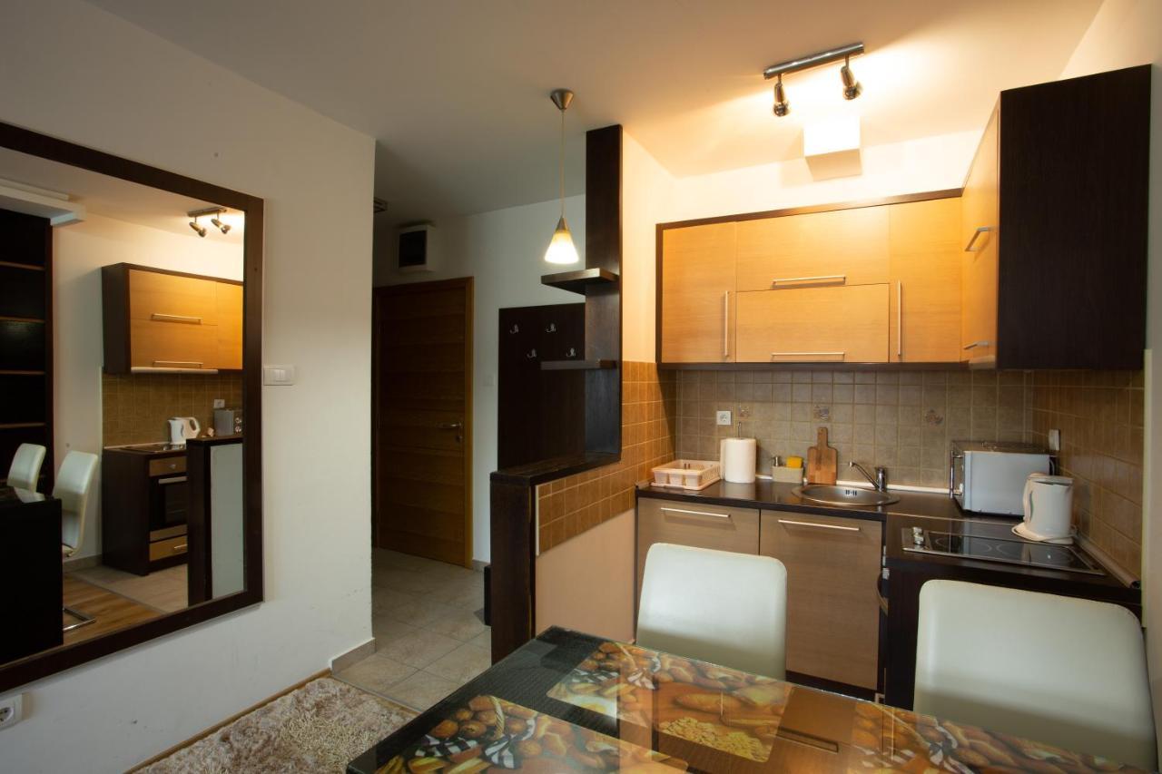Apartment 204 Kopaonik Exteriér fotografie